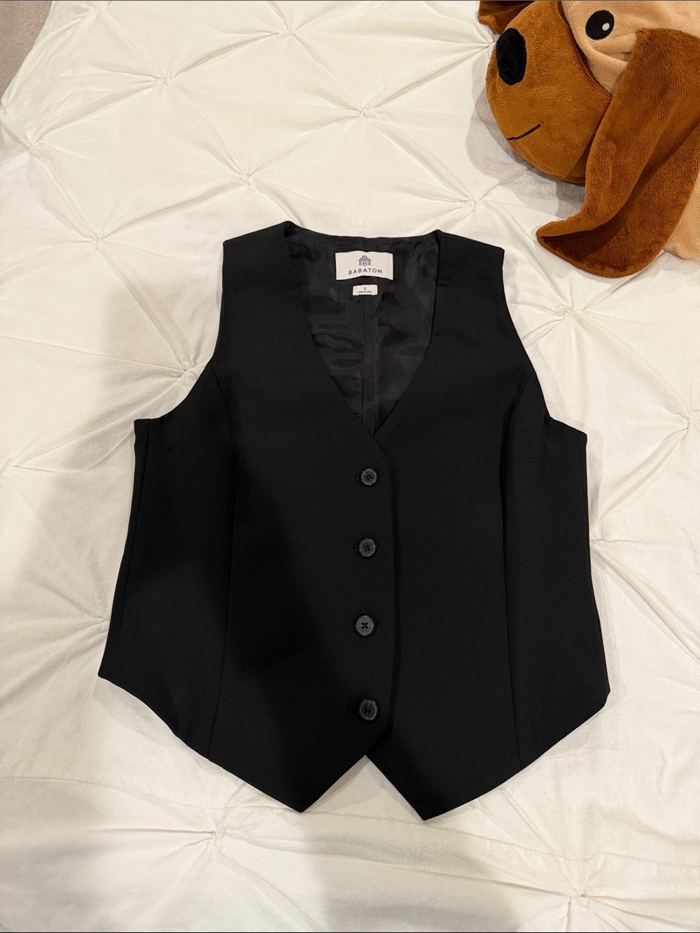Aritzia vest
